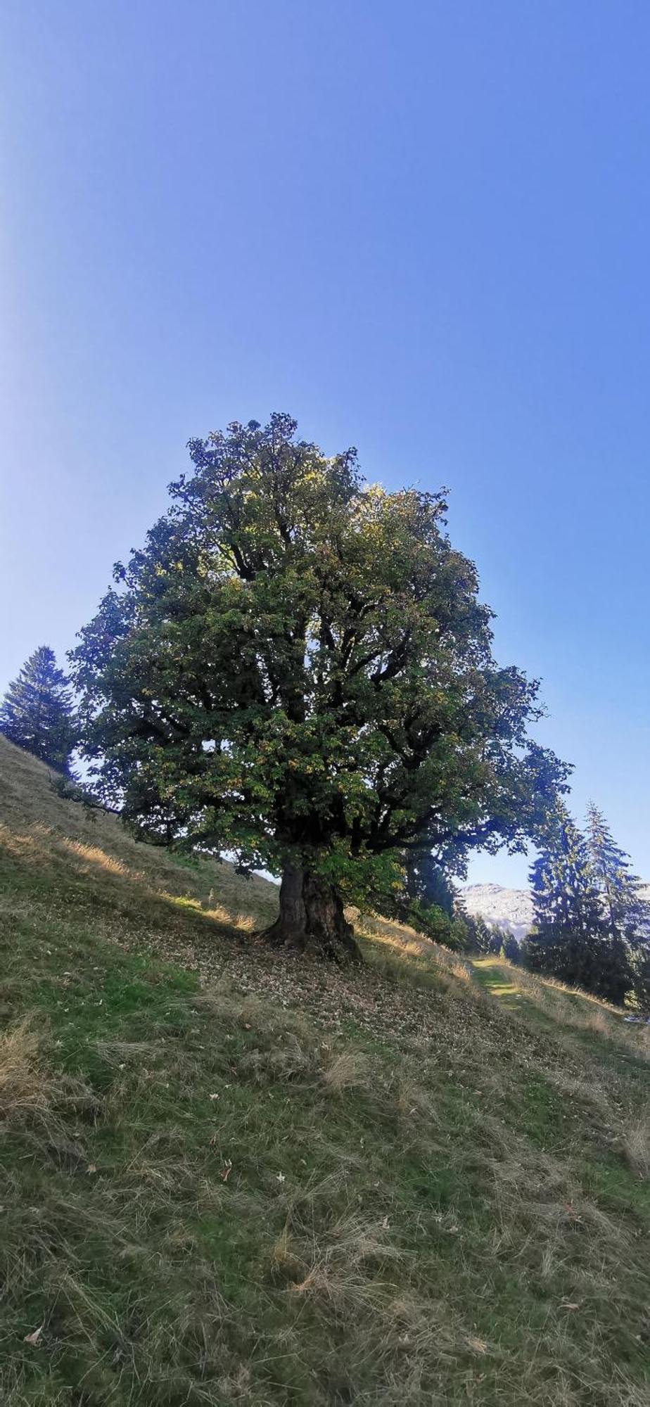 Gasthof Kreuz Marbach Zewnętrze zdjęcie