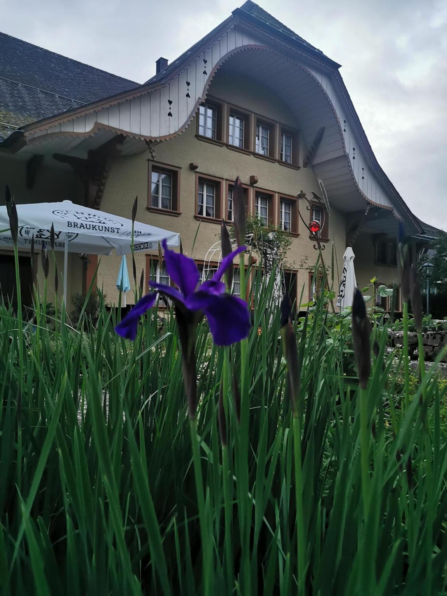 Gasthof Kreuz Marbach Zewnętrze zdjęcie