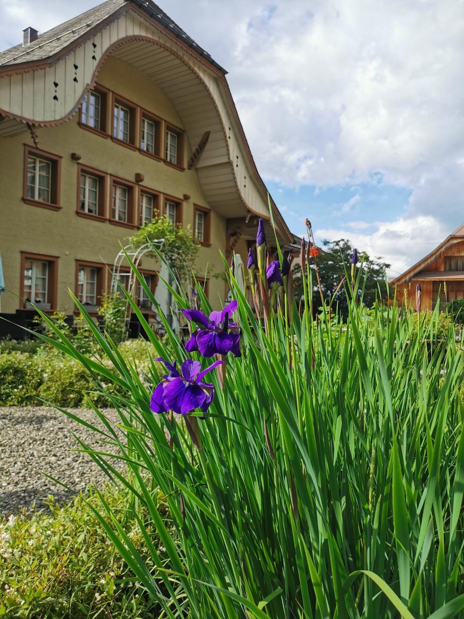 Gasthof Kreuz Marbach Zewnętrze zdjęcie