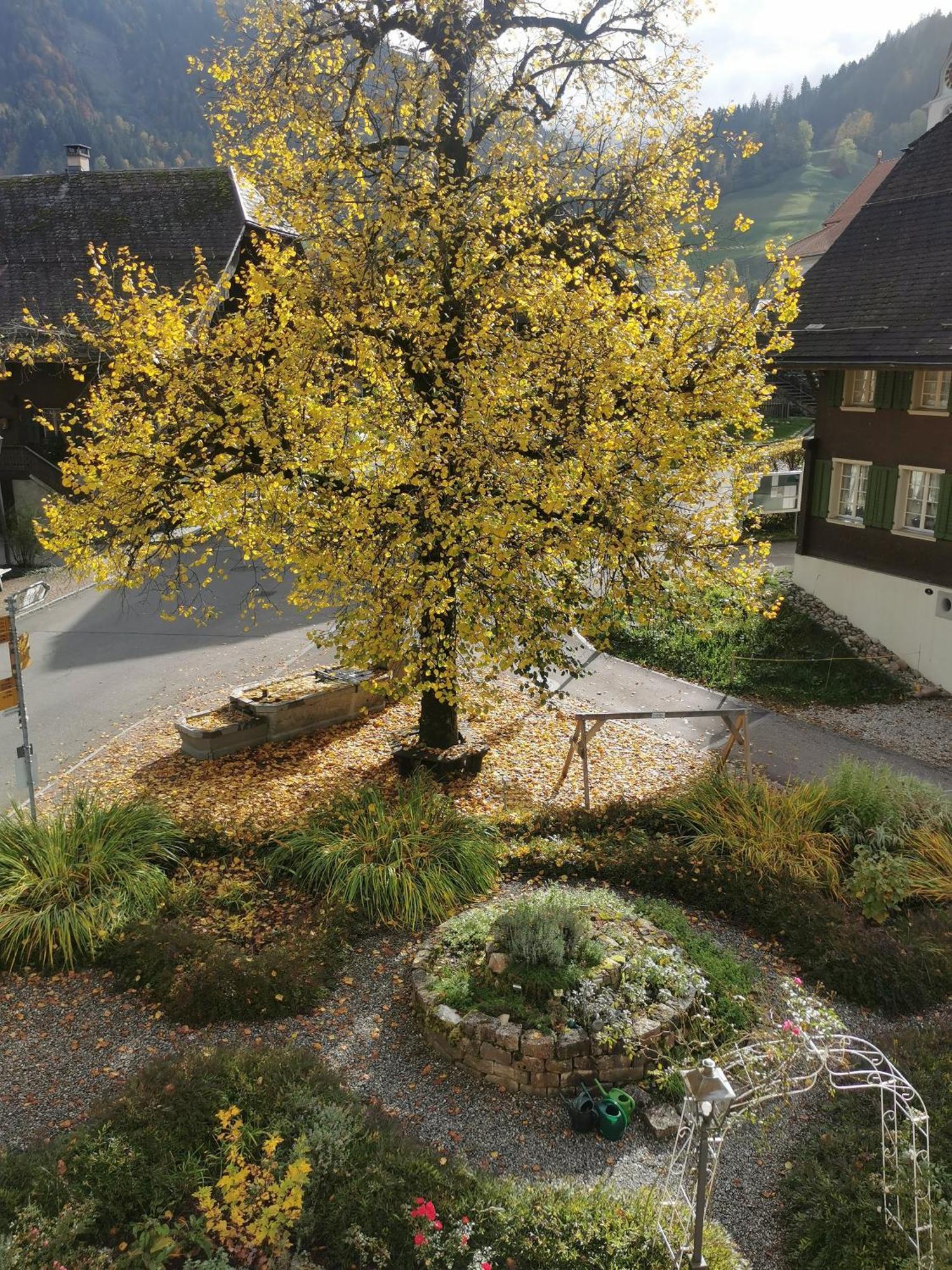 Gasthof Kreuz Marbach Zewnętrze zdjęcie